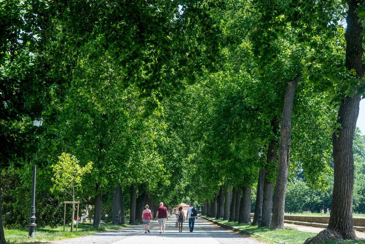 B&B Residenza Di Via Fontana Lucca Dış mekan fotoğraf