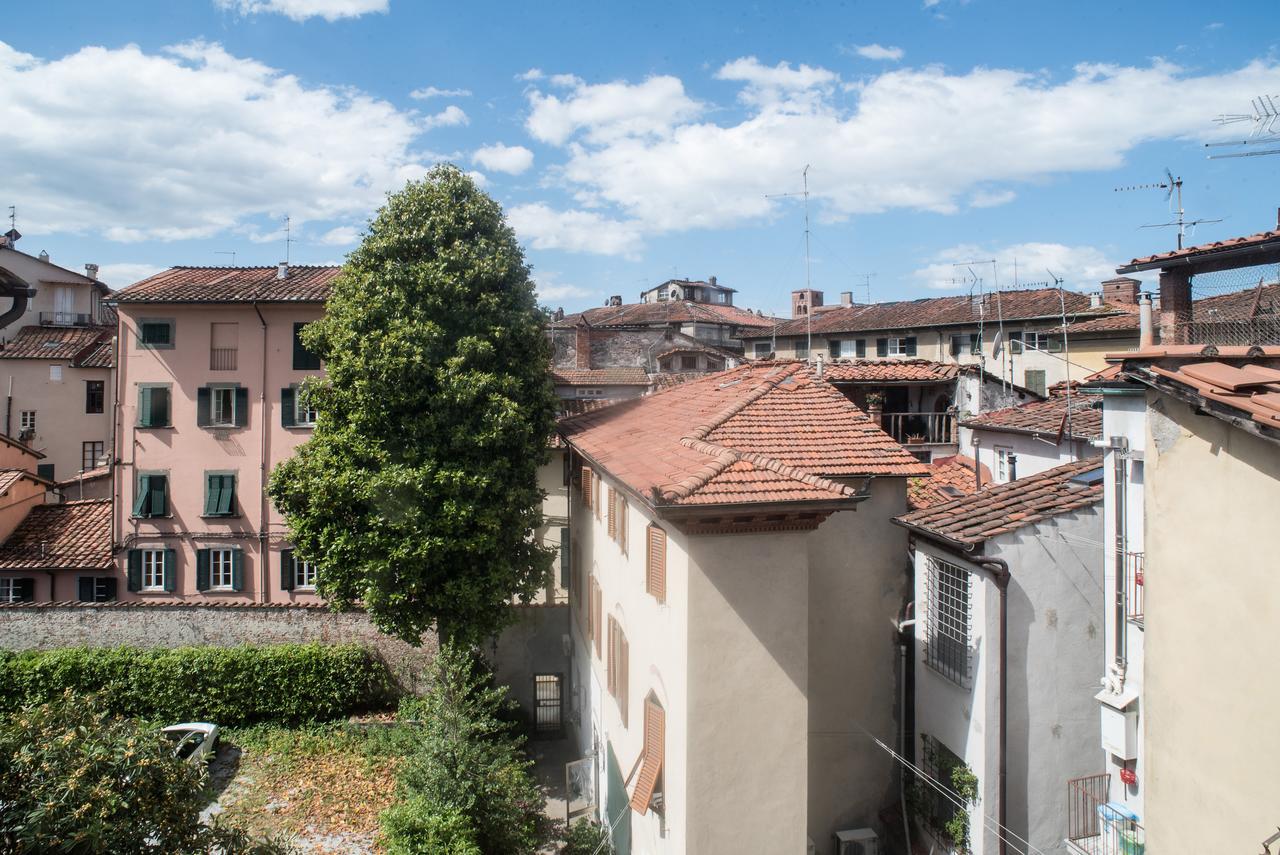 B&B Residenza Di Via Fontana Lucca Dış mekan fotoğraf